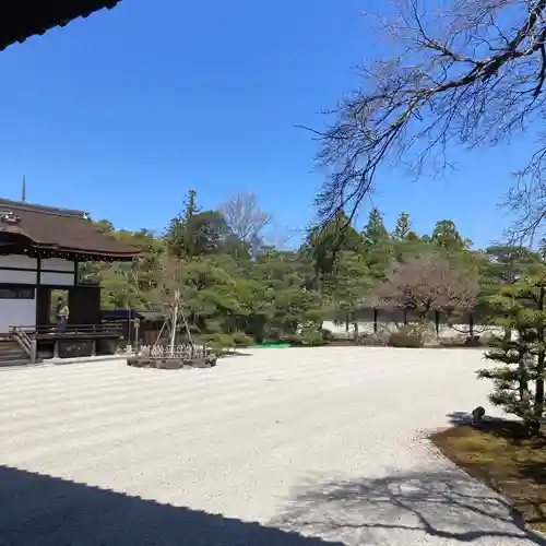 仁和寺の庭園