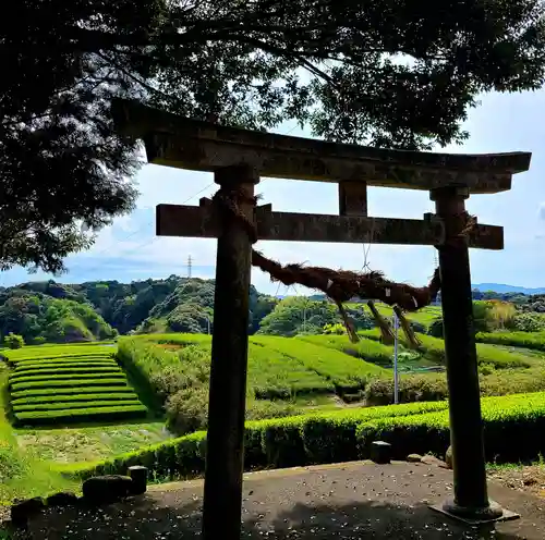 八幡神社の鳥居