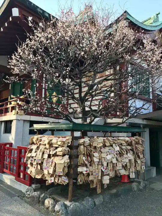 亀戸天神社(東京都)
