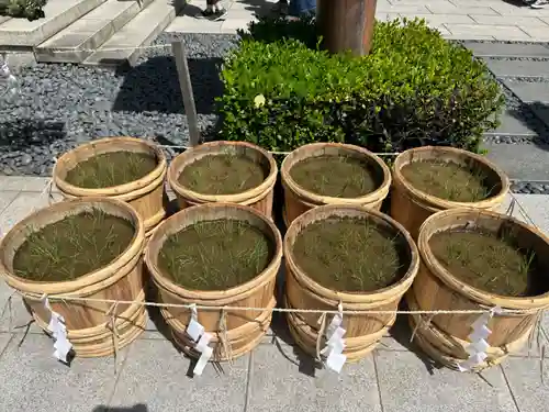 東京大神宮(東京都)