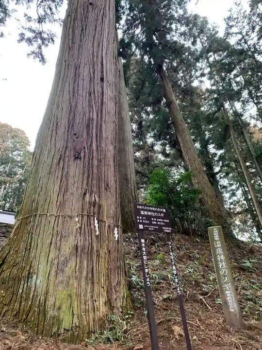 大宮温泉神社の自然