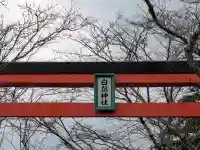 白鬚神社の{uncategorized: "未分類", other: "その他", undefined: "問題あり", building: "その他建物", grave: "お墓", sacred_gate: "鳥居", guardian: "狛犬", statue: "像", buddha: "仏像", history: "歴史", nature: "自然", garden: "庭園", animal: "動物", pagoda: "塔", temizu: "手水舎", mountain_gate: "山門・神門", sanctuary: "本殿・本堂", subordinate: "末社・摂社", art: "芸術", scenery: "景色", jizo: "地蔵", ema: "絵馬", goshuin: "御朱印", omikuji: "おみくじ", items: "授与品その他", amulet: "お守り", goshuincho: "御朱印帳", eats: "食事", festival: "お祭り", votive_dance: "神楽", shichigosan: "七五三参", wedding: "結婚式", experience: "体験その他", initially: "初詣", around: "周辺", anti_infection: "感染症対策"}