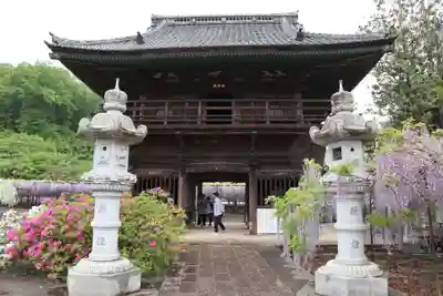 長泉寺の山門・神門
