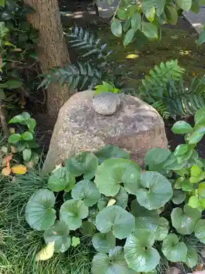 法樹院(東京都)