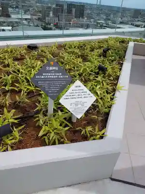 交通神社(宮崎県)