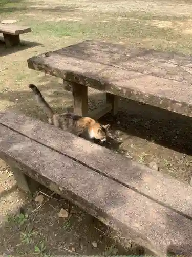 玉野御嶽神社の動物