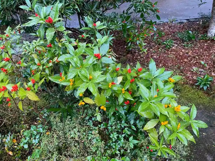 神藏寺(京都府)