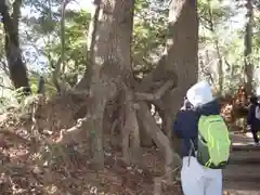 高尾山薬王院(東京都)