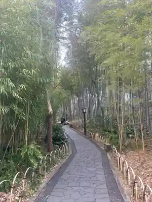 修禅寺(静岡県)