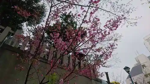 芝大神宮の自然
