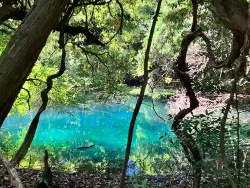 丸池神社(山形県)