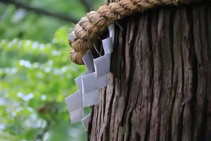 阿久津「田村神社」(郡山市阿久津町)旧社名:伊豆箱根三嶋三社の自然
