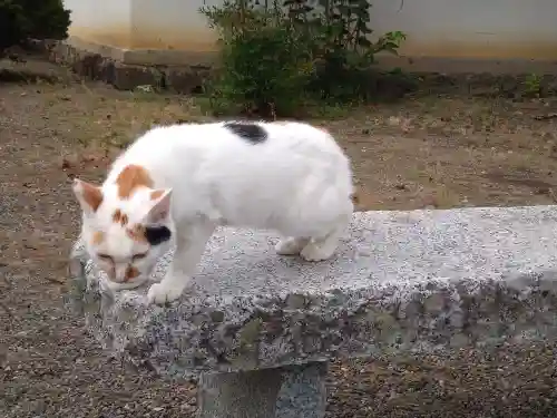 長福寺(長野県)