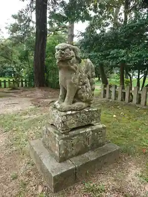 天橋立神社の狛犬