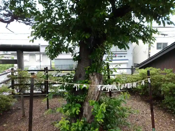 久慈大神宮のその他建物