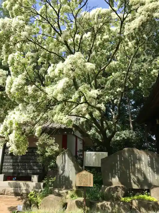 大宝八幡宮(茨城県)