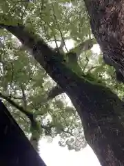 藤白神社(和歌山県)