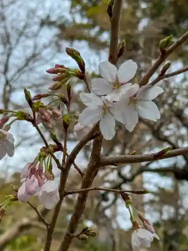 円覚寺の{uncategorized: "未分類", other: "その他", undefined: "問題あり", building: "その他建物", grave: "お墓", sacred_gate: "鳥居", guardian: "狛犬", statue: "像", buddha: "仏像", history: "歴史", nature: "自然", garden: "庭園", animal: "動物", pagoda: "塔", temizu: "手水舎", mountain_gate: "山門・神門", sanctuary: "本殿・本堂", subordinate: "末社・摂社", art: "芸術", scenery: "景色", jizo: "地蔵", ema: "絵馬", goshuin: "御朱印", omikuji: "おみくじ", items: "授与品その他", amulet: "お守り", goshuincho: "御朱印帳", eats: "食事", festival: "お祭り", votive_dance: "神楽", shichigosan: "七五三参", wedding: "結婚式", experience: "体験その他", initially: "初詣", around: "周辺", anti_infection: "感染症対策"}