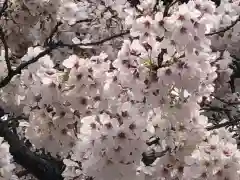 伊和志津神社の自然