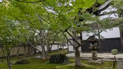 黄梅院(京都府)