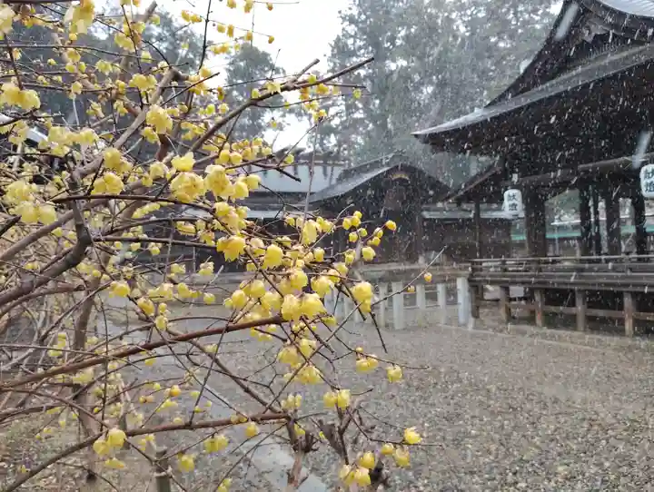 小御門神社(千葉県)
