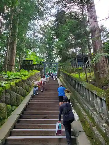 日光東照宮奥宮拝殿の鳥居