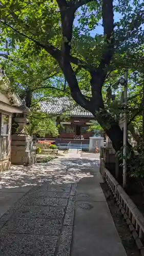 墨染寺（桜寺）(京都府)