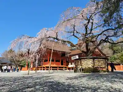 富士山本宮浅間大社(静岡県)