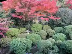 安楽寺(京都府)