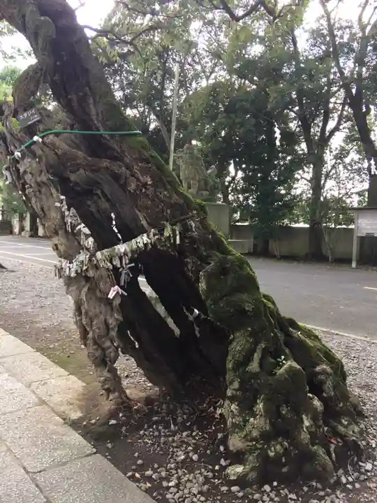 一言主神社の自然