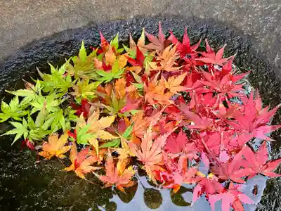 真言宗　善通寺派　薬王寺(香川県)