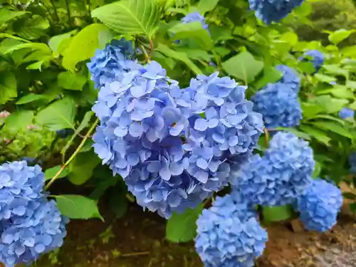 千光寺(福岡県)