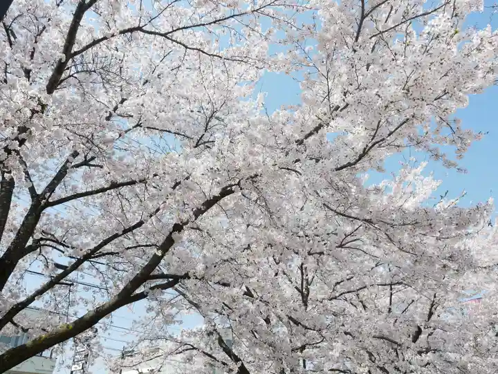 眞田神社の自然