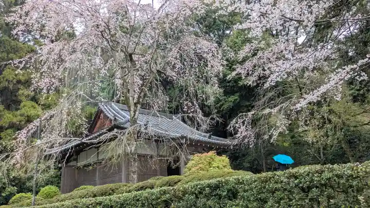 醍醐寺(京都府)
