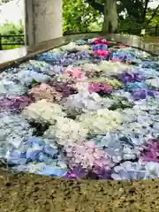 白鳥神社の手水