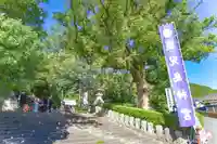 鹿児島神宮(鹿児島県)