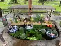 都農神社の手水舎