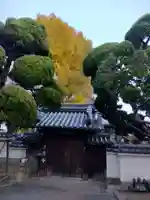 浄源寺(兵庫県)