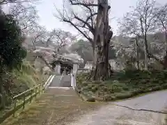 鏡徳寺の自然