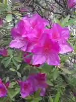 西方山極楽寺(岐阜県)