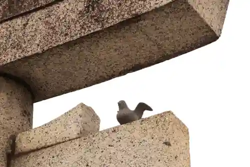 川越八幡宮(埼玉県)