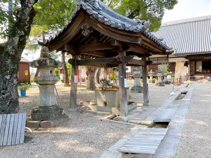 大樹寺(松安院大樹寺)の御朱印