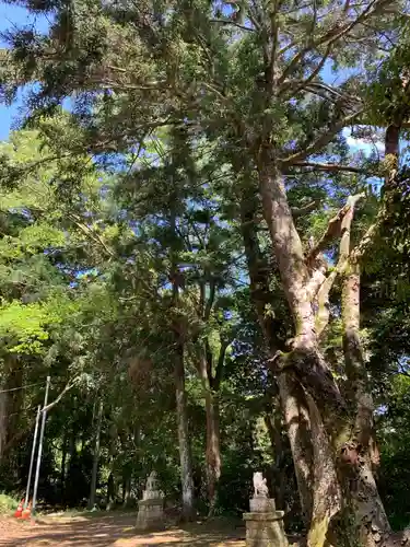 八雲神社の自然