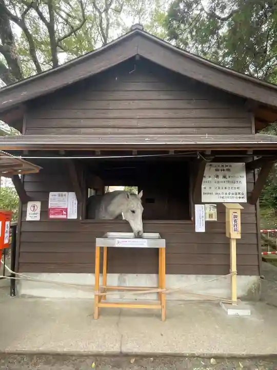鹿児島神宮(鹿児島県)