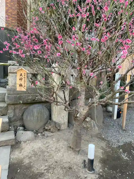 小野照崎神社(東京都)