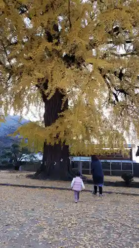 丹生酒殿神社の自然