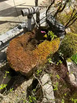 歓喜院のその他建物