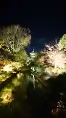 東寺（教王護国寺）の景色