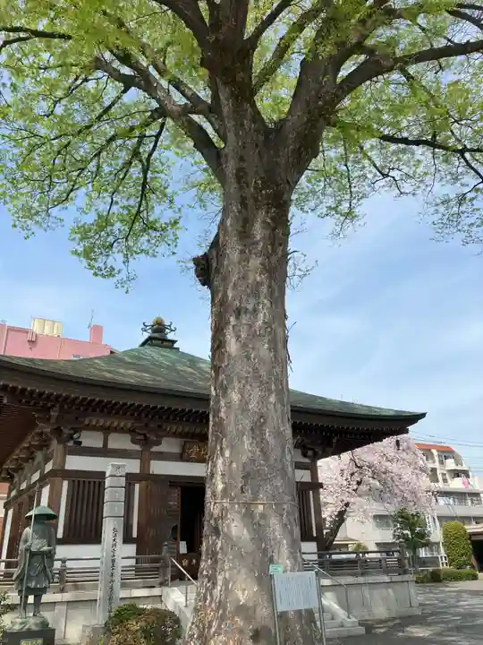 總持寺(東京都)