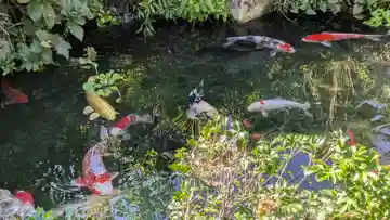 乘願院(京都府)